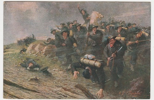 Illustratore campestrini - illustratore,