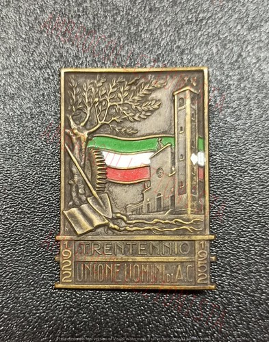 Spilla trentennio unione - spilla,