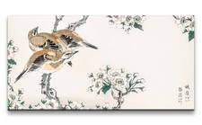 120x60cm Remaster Bellissima