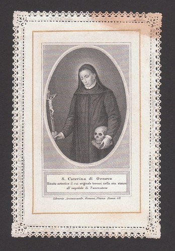 Caterina genova - caterina,