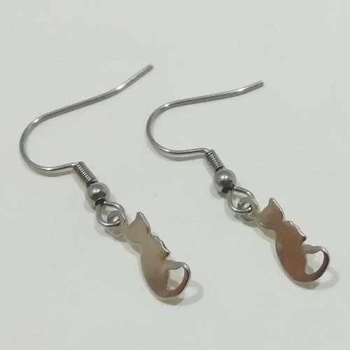 Orecchini argento acciaio - argento,