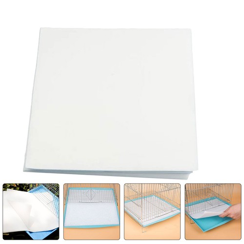 100 pezzi gabbia carta - 100,