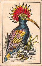 AL10-24C) CARTOLINA UPUPA UCCELLO ILLUSTRATA VIAGGIATA IMOLA 1936 CASTE S PIETRO