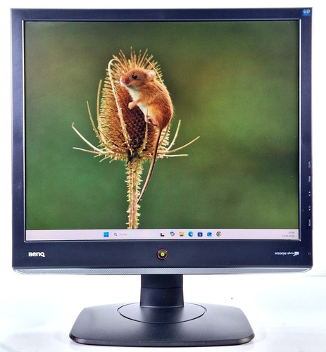 Benq e910t pollici retrò - benq, 19