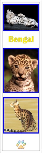 Cat bookmarks bengal siamese - bookmarks,