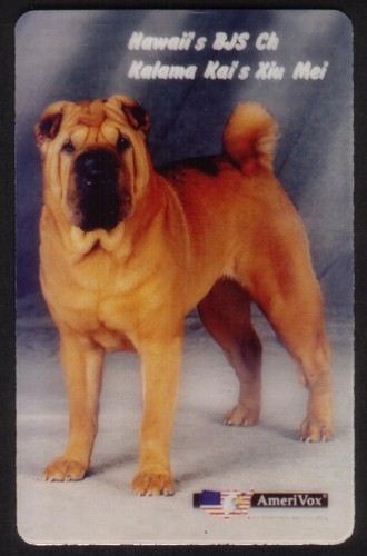 Hawaii champion cane - hawaii's,