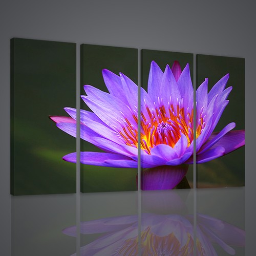 Quadri moderni flower water - quadri,
