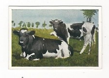 522 quadro collezione - 22/522,