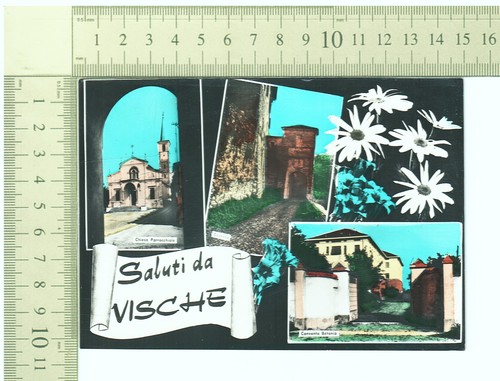 538 vische saluti - -,