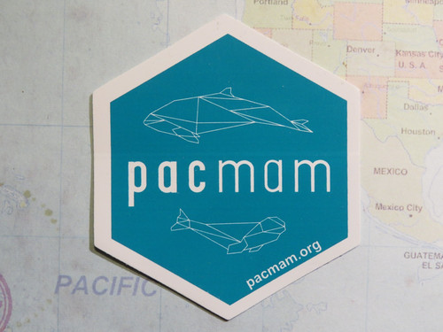 Adesivo natura pacmam - 2,6",