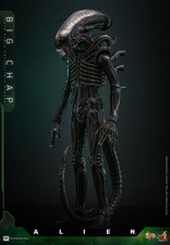 PREORDER Alien Movie Masterpiece Action Figure 1/6 Big Chap 36 cm HOT TOYS