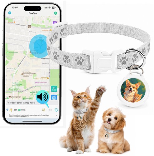 Collare gps gatto - collare, gatto，mini