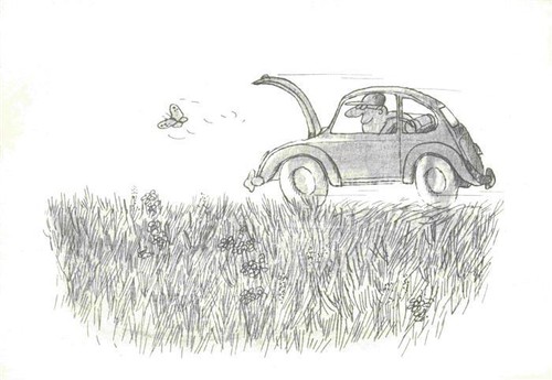Kaefer volkswagen - vw,
