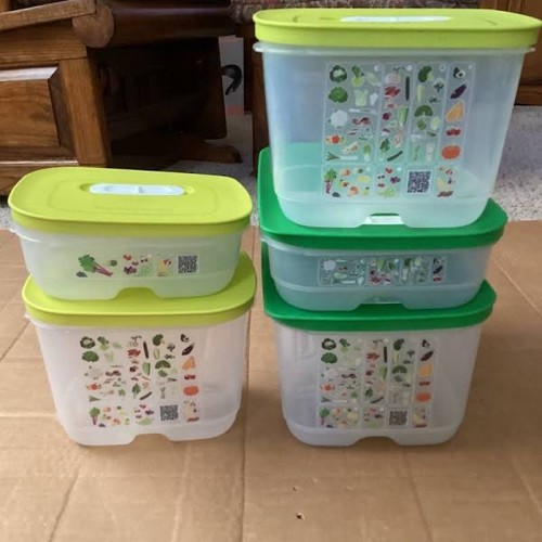 Set pezzi contenitori - 5,