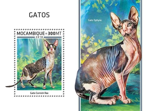 Francobolli gatti cornovaglia - gatti,