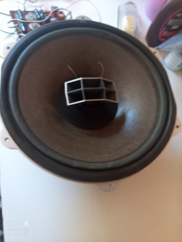 Altoparlante tweeter woofer