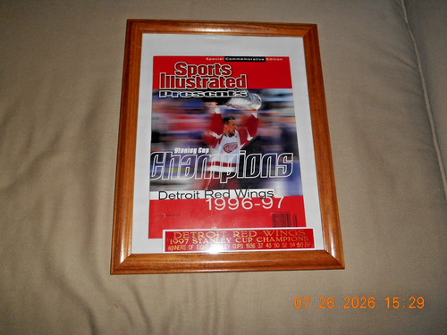 Detroit red wings special - detroit,