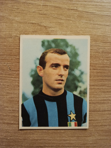 1966 imperia calciatori - 1966-67,