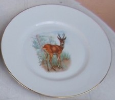 PIATTO PIANO CACCIAGIONE