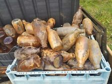 Bottiglie Di Birra Americane