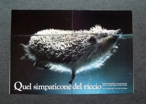 Al37 clipping ritaglio - al37, clipping-ritaglio