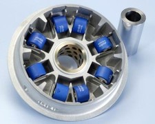 SP 1011881 POLINI Variatore ad