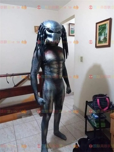 Costume body