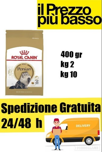 Persian adult royal canin - adult,
