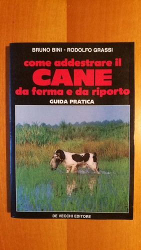 Come addestrare cane da - addestrare,
