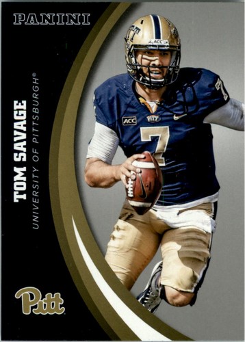 2016 panini pittsburgh - 2016, silver