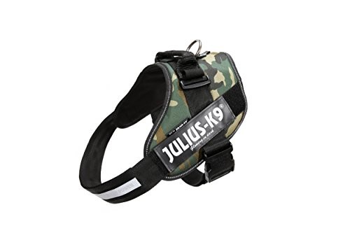 Julius 16idc 2 - julius-k9,, 16idc-c-2,