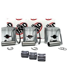 Kit pistoni (3) e cuscinetti