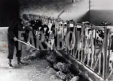 Foto Vintage Agricoltura