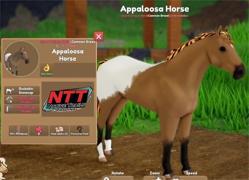 Wild horse islands buckskin - -,