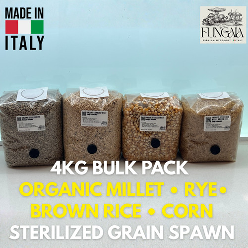 Set 4kg bulk spawn - 4kg,