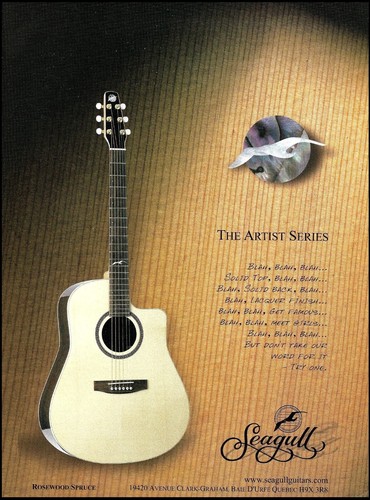 Pubblicità chitarra acustica