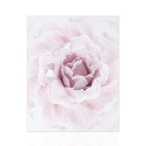 Quadro floreale quadri - quadro,