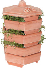 TZZ0933 Terradisiena Germogliatore in Terracotta