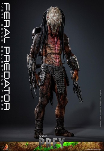 Hot toys predatore feral - hot,