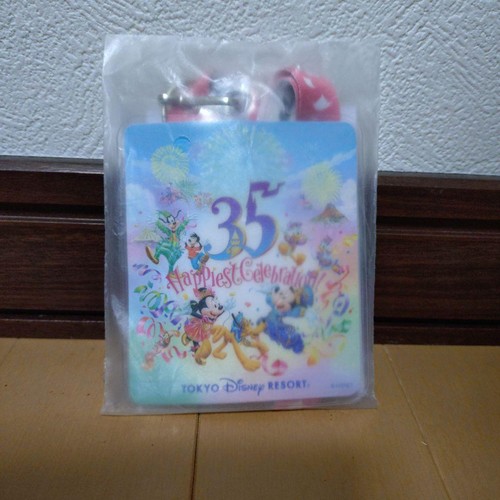 Tokyo disneyland - tokyo, 35°