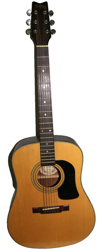 Chitarra elettrica acustica - chitarra,