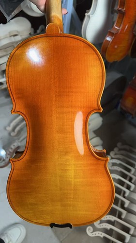 Violino stradivirus fatto - stradivirus,