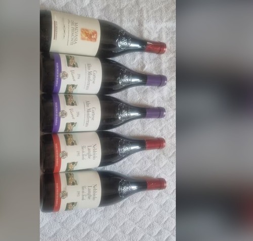 Vino barolo - vino,