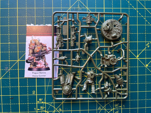 Plague marine con lancia peste - marine,