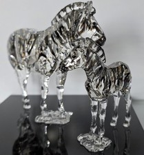 Swarovski SCS Edizione Anno