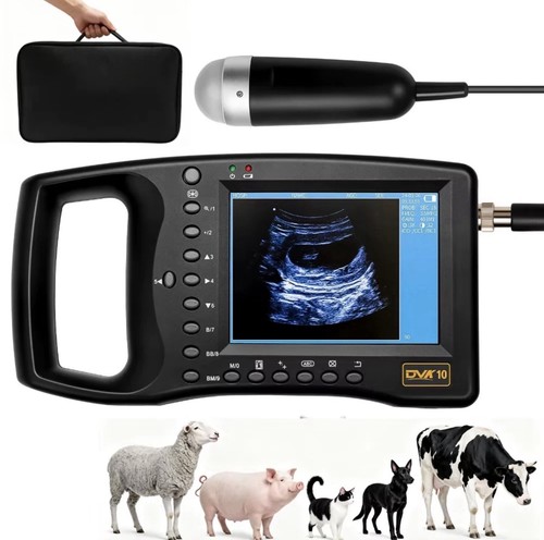Scanner macchina ultrasuoni - scanner,