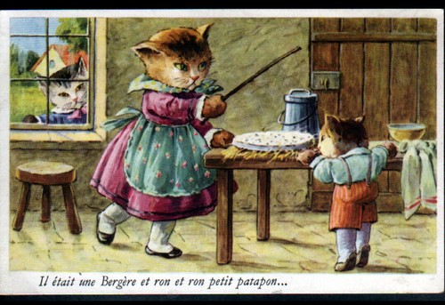 Chat humain petit - /,