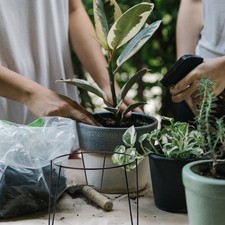  1Pc Portafiori in ferro