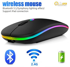 Wireless Bluetooth RGB Mouse