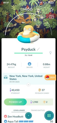 Psyduck sfondo - psyduck, (sfondo